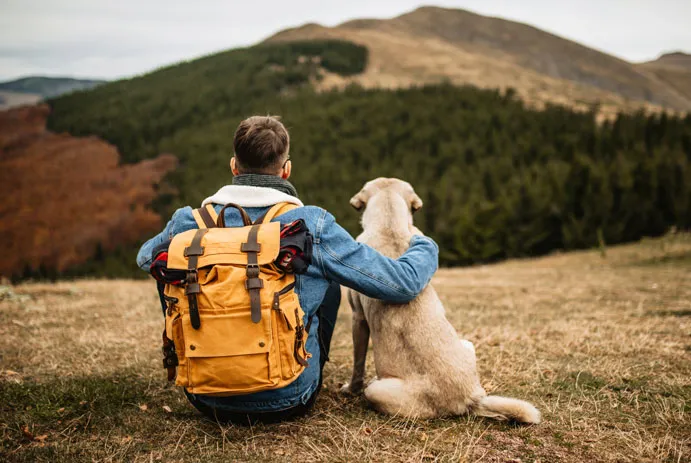 Aseba Hoffmann House Bar